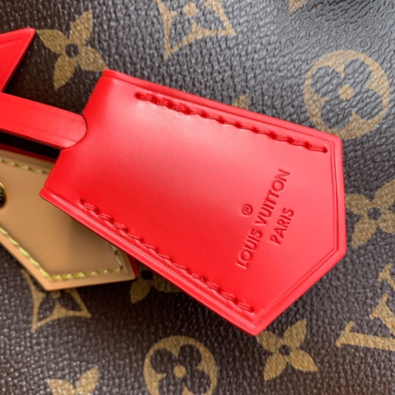 LV Speedy Bags
